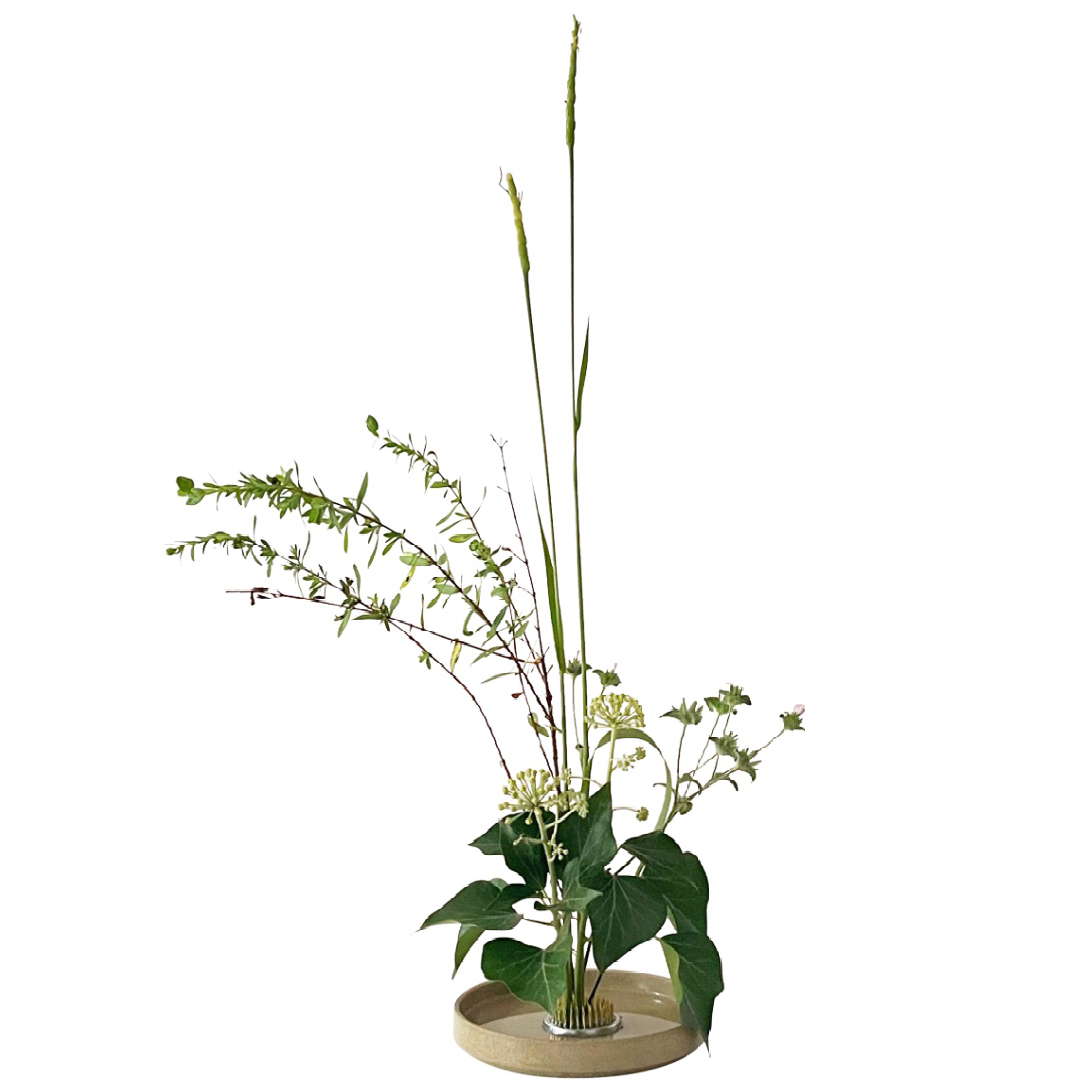 MAKE AN IKEBANA ARRANGEMENT - USING FOUND GREENERY! - RT1home