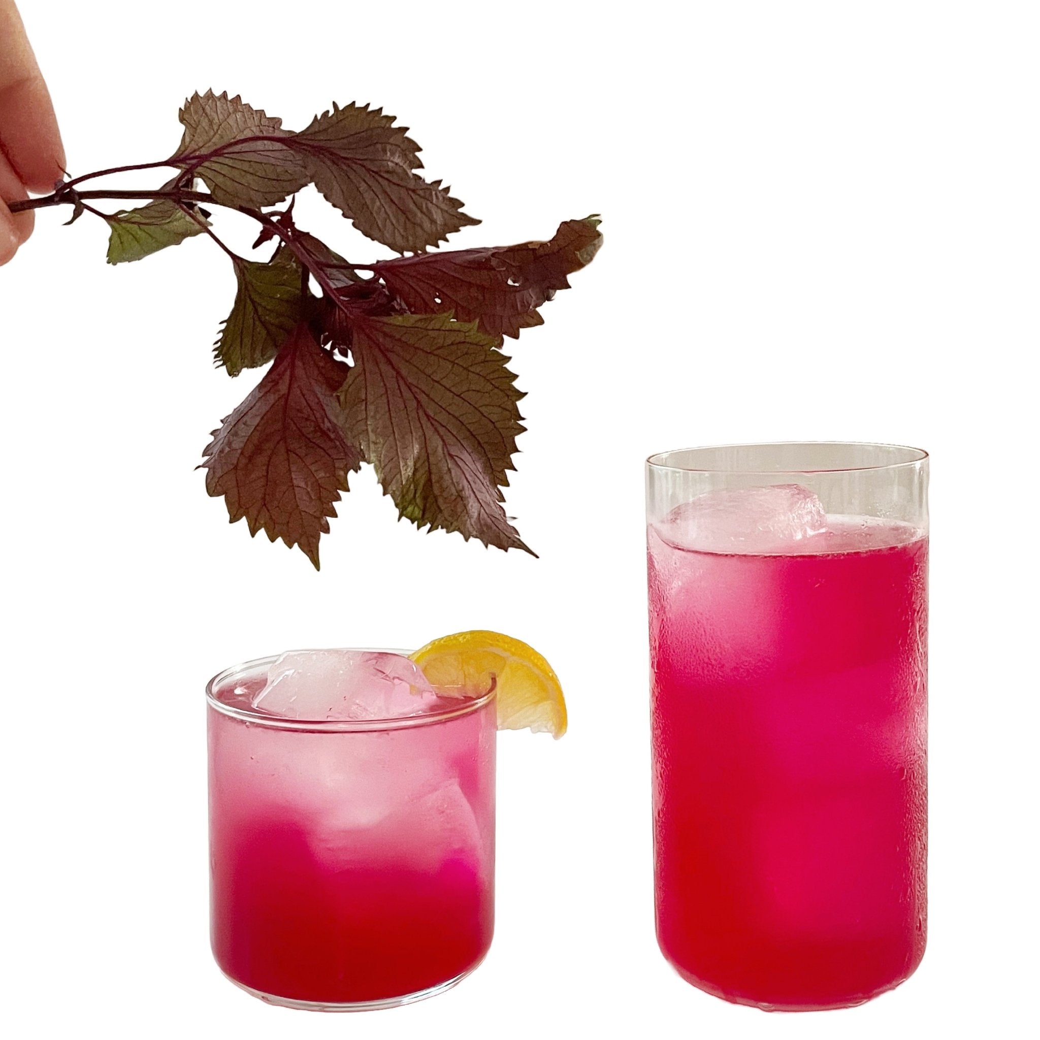 AKA SHISO ICED TEA - RT1home