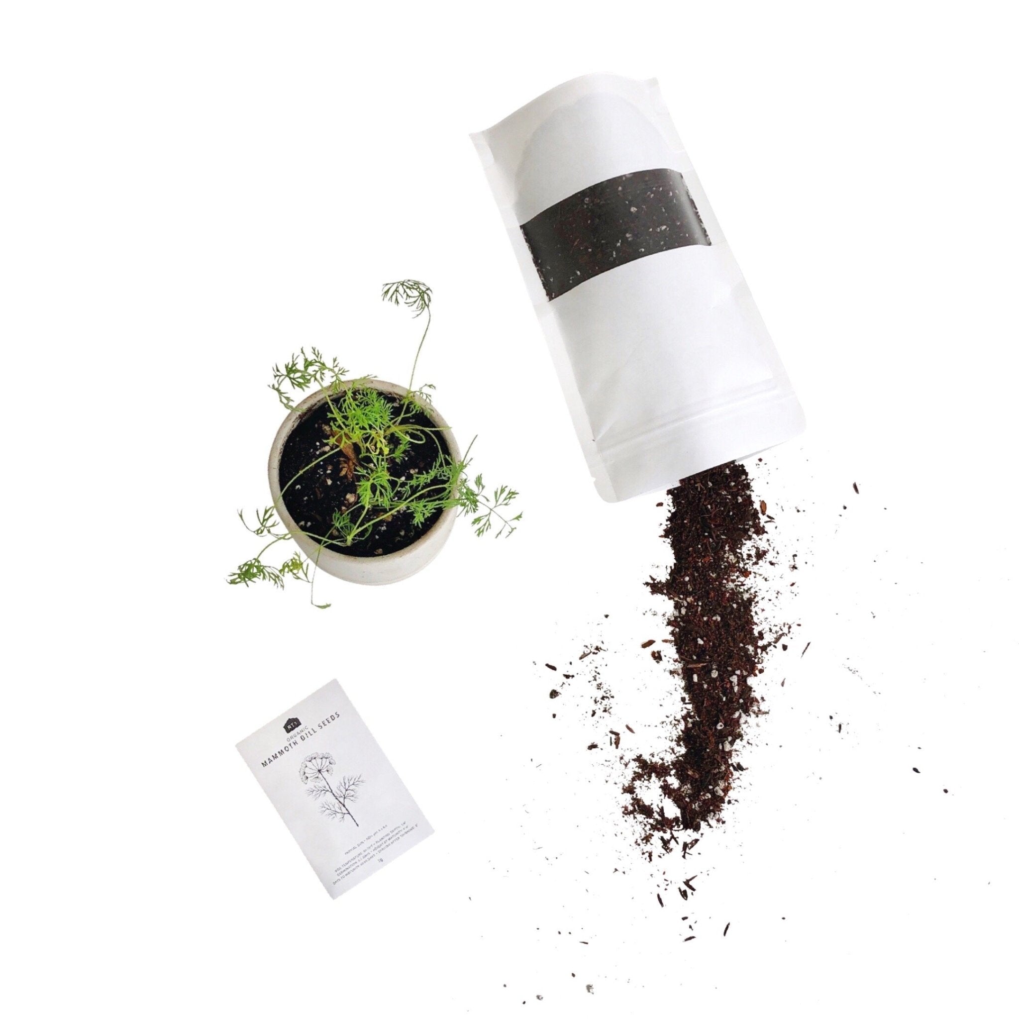 START AN HERB GARDEN - RT1home