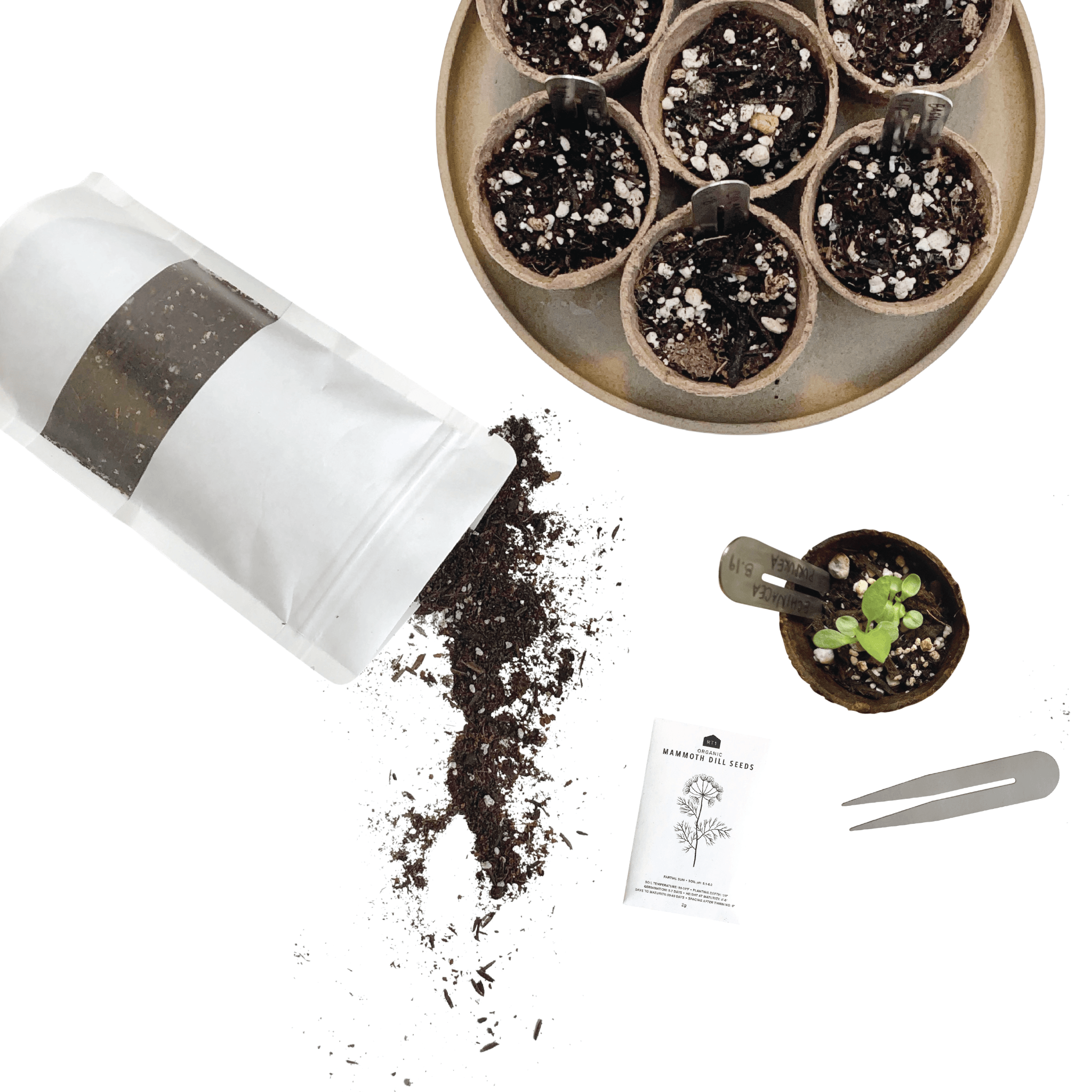 START YOUR SEEDS - RT1home