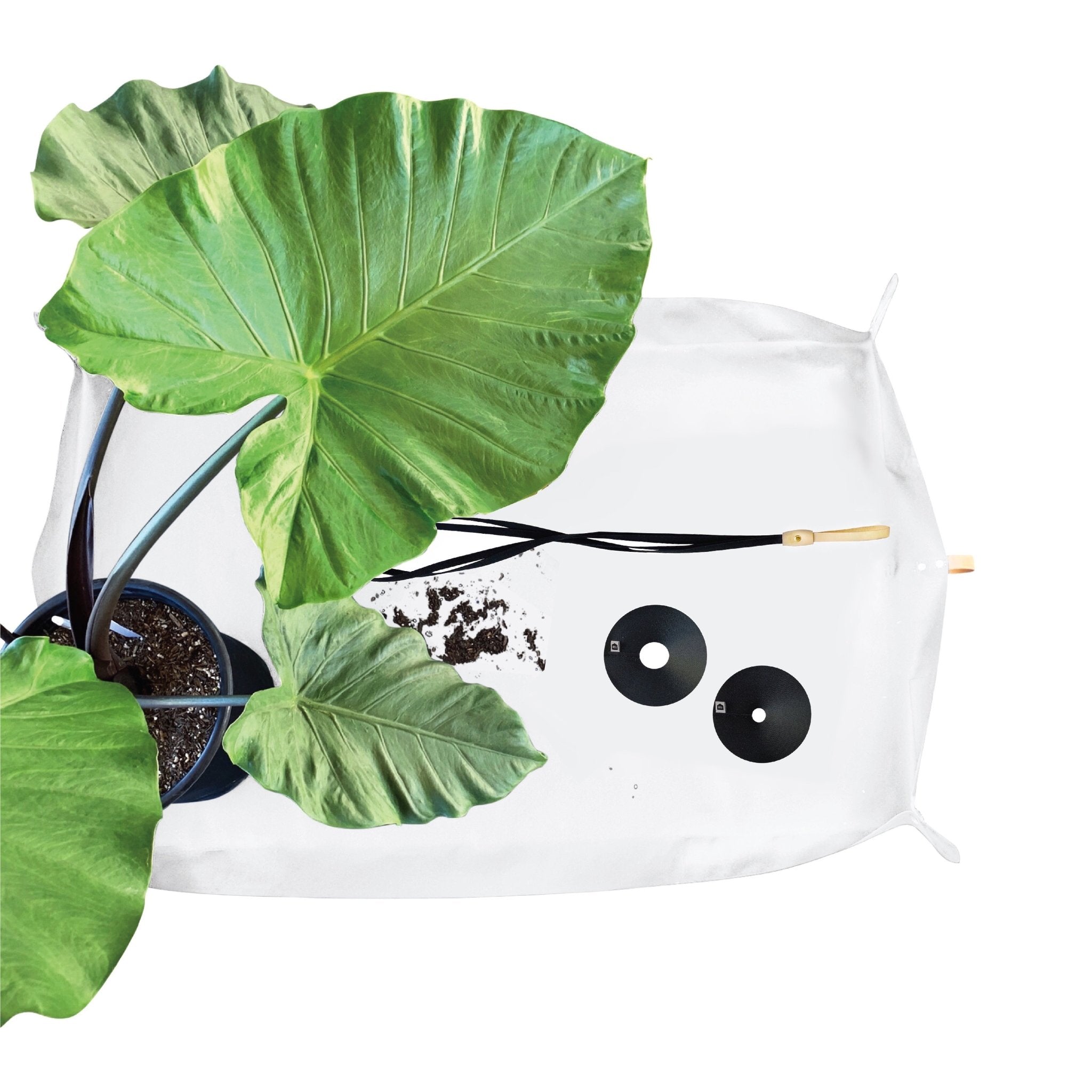 Accessories | RT1home