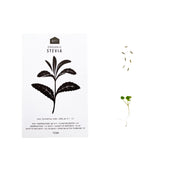HERB SEEDS - 1 PACK - RT1home