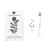 HERB SEEDS - 1 PACK - RT1home