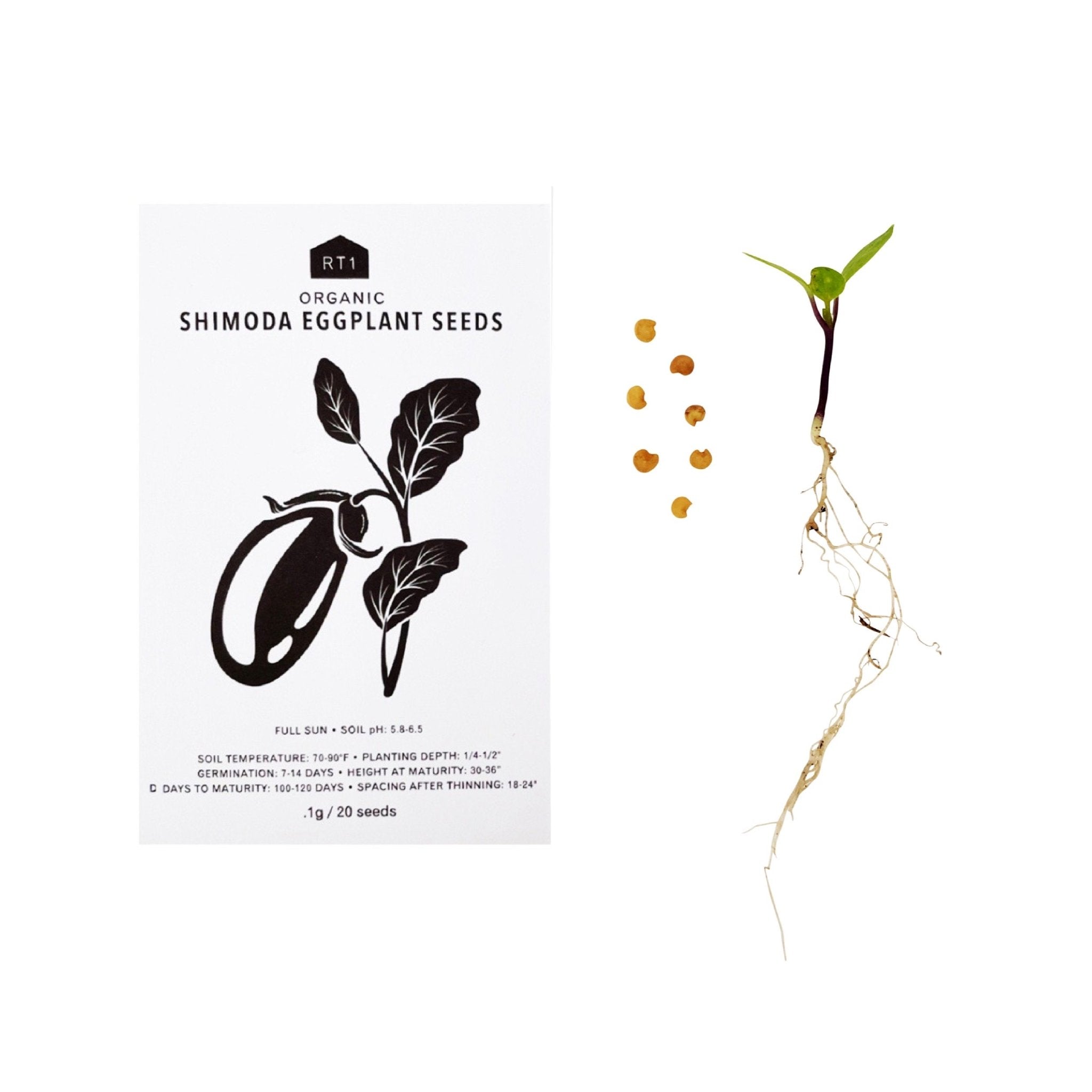 HERB SEEDS - 1 PACK - RT1home