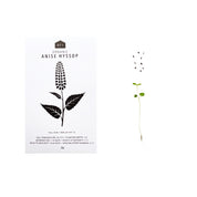 HERB SEEDS - 1 PACK - RT1home