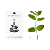 HERB SEEDS - 1 PACK - RT1home
