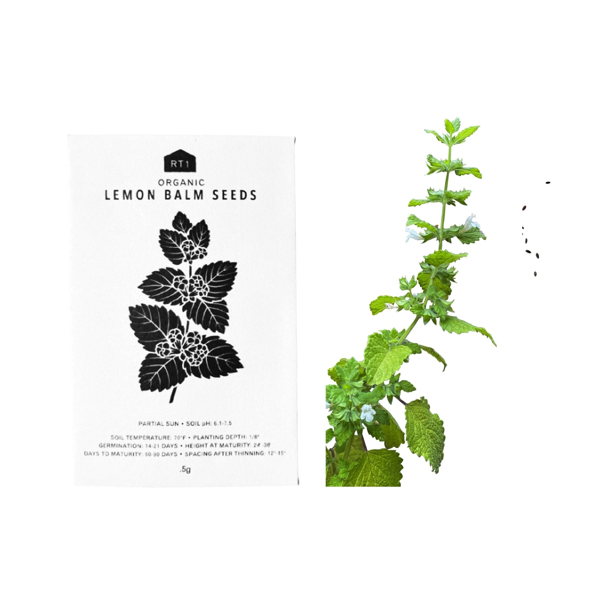 HERB SEEDS - 1 PACK - RT1home