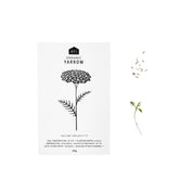 HERB SEEDS - 1 PACK - RT1home