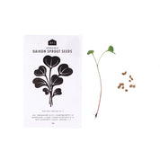 HERB SEEDS - 1 PACK - RT1home