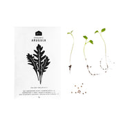 HERB SEEDS - 1 PACK - RT1home