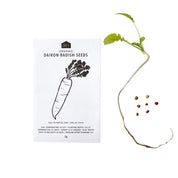 HERB SEEDS - 1 PACK - RT1home