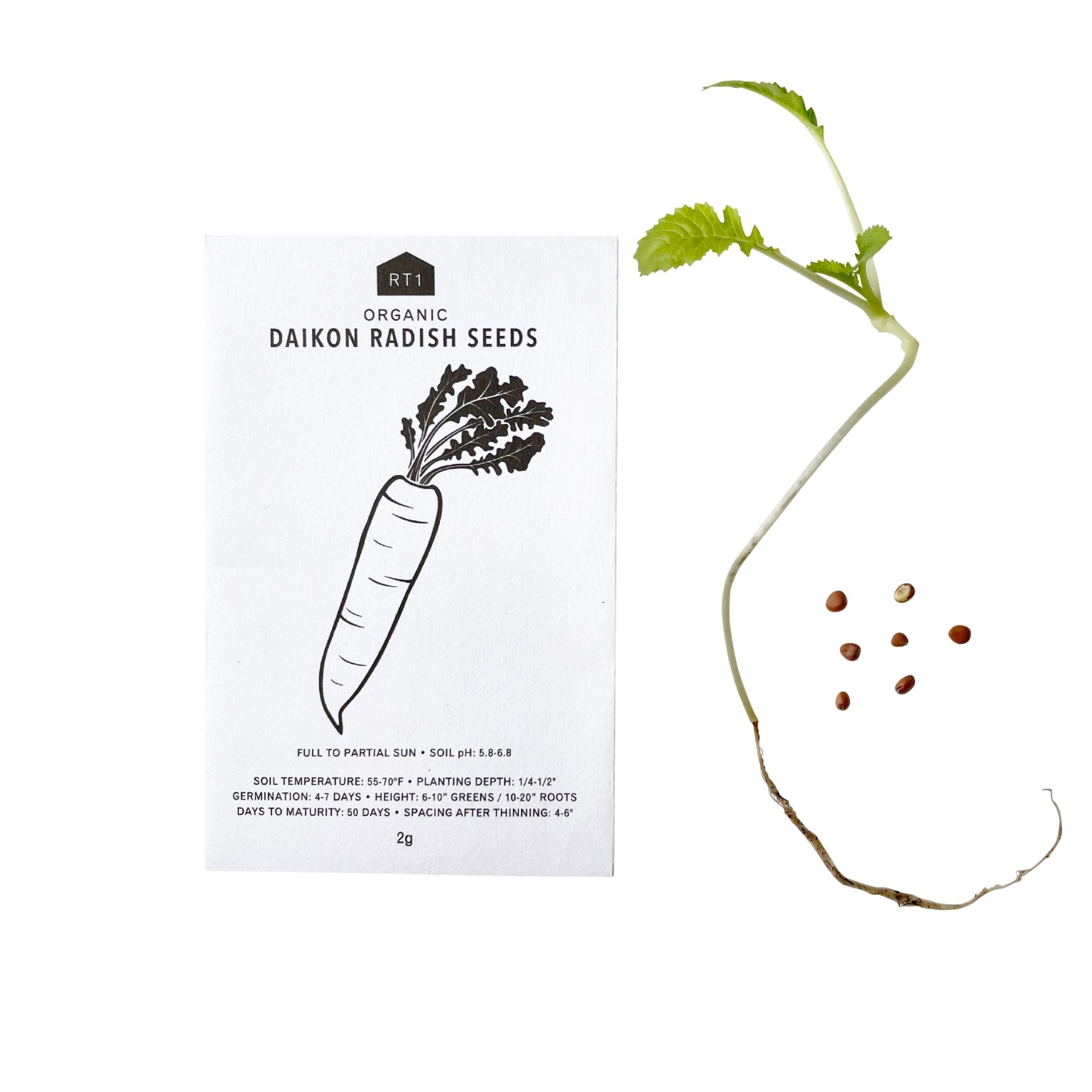 HERB SEEDS - 1 PACK - RT1home