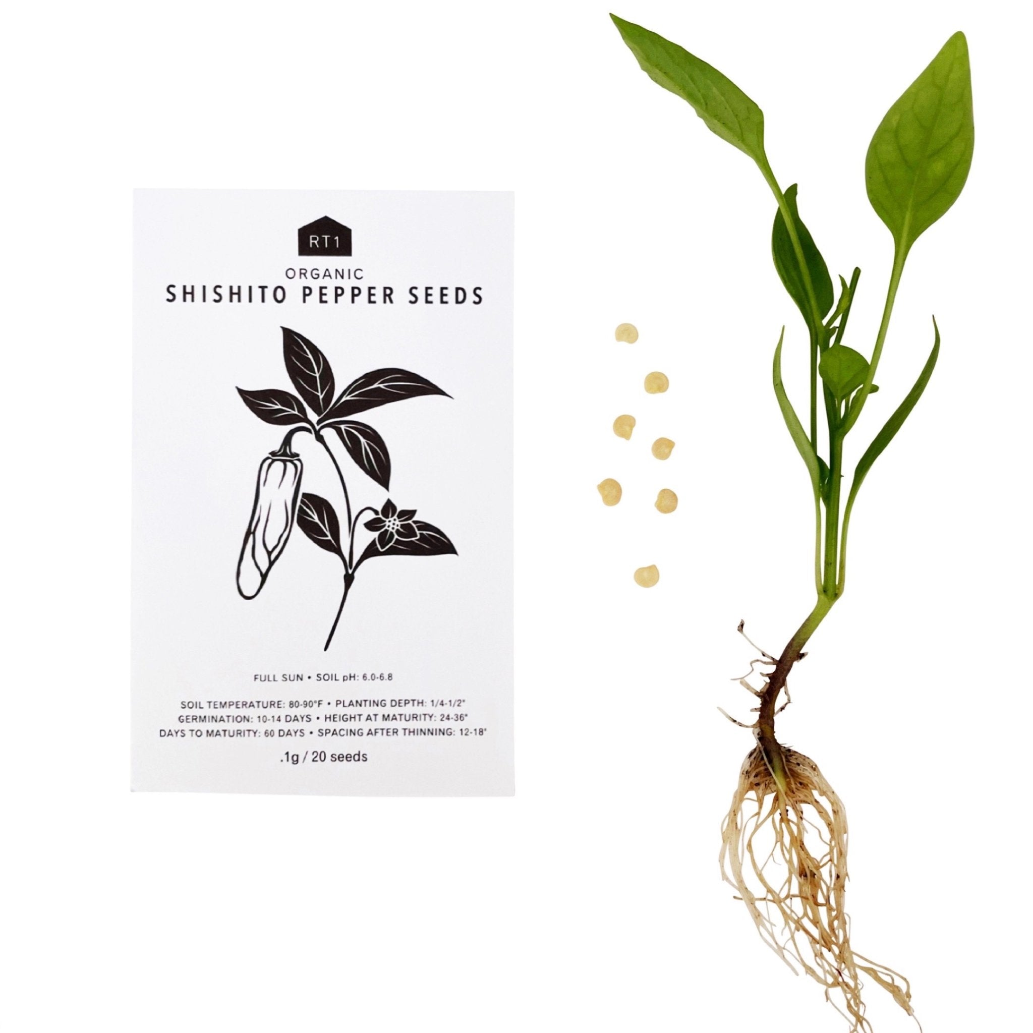 HERB SEEDS - 1 PACK - RT1home