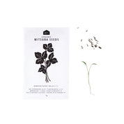 HERB SEEDS - 1 PACK - RT1home