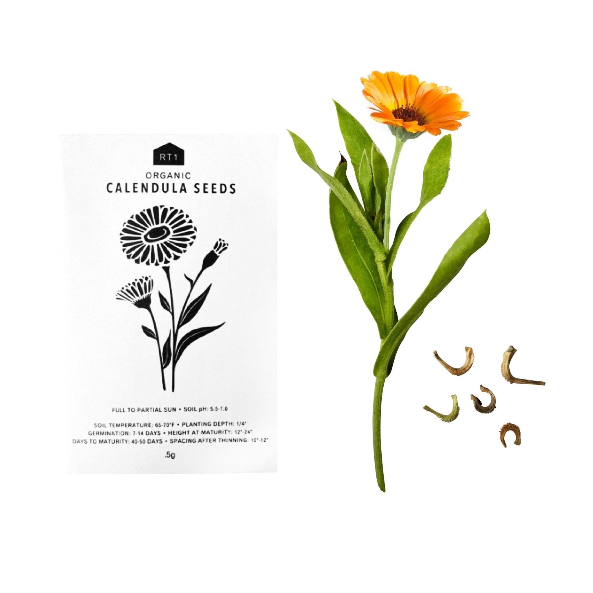 HERB SEEDS - 1 PACK - RT1home