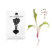 HERB SEEDS - 1 PACK - RT1home