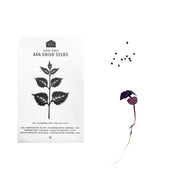 HERB SEEDS - 1 PACK - RT1home