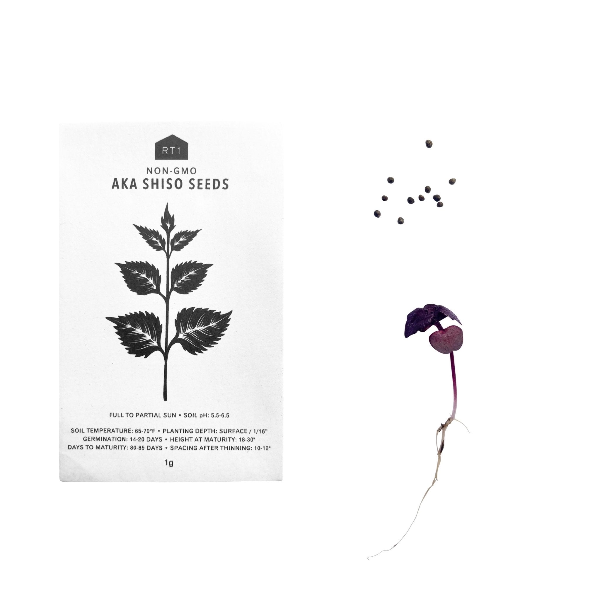 HERB SEEDS - 1 PACK - RT1home