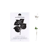 HERB SEEDS - 1 PACK - RT1home