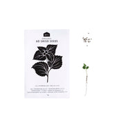 Japanese Herb Seeds - Pack of 5