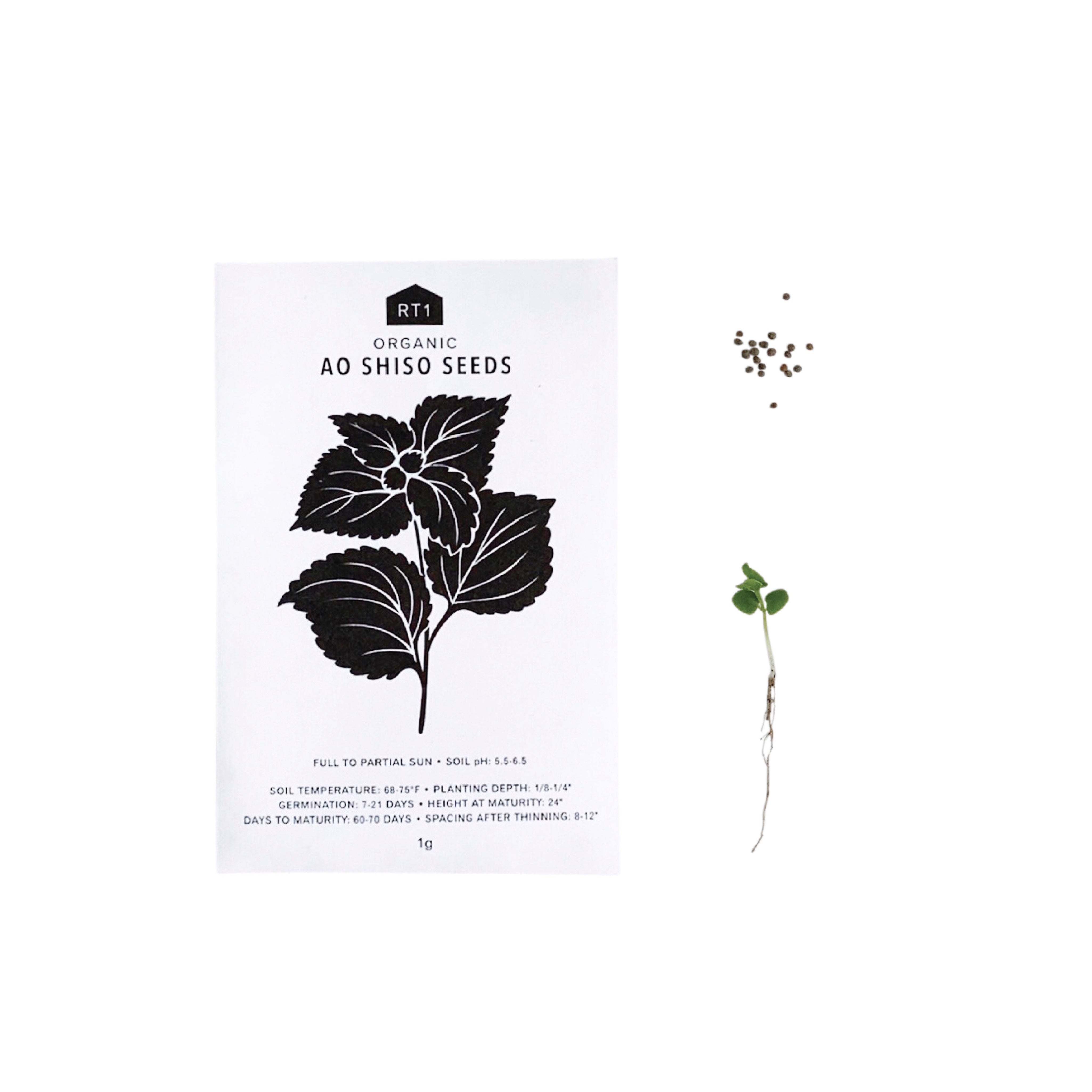 Japanese Herb Seeds - Pack of 5