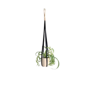 Plant Hanger