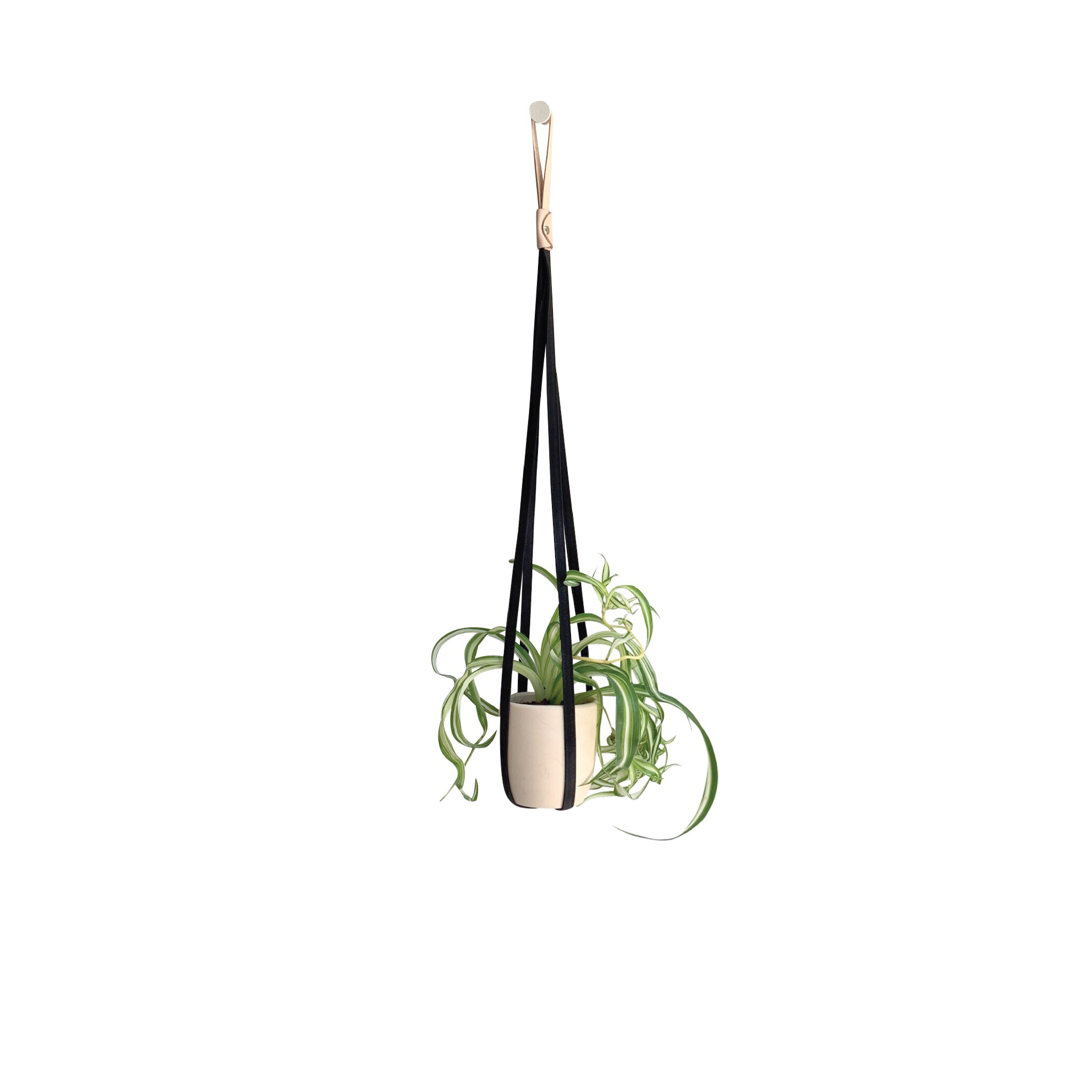 Plant Hanger