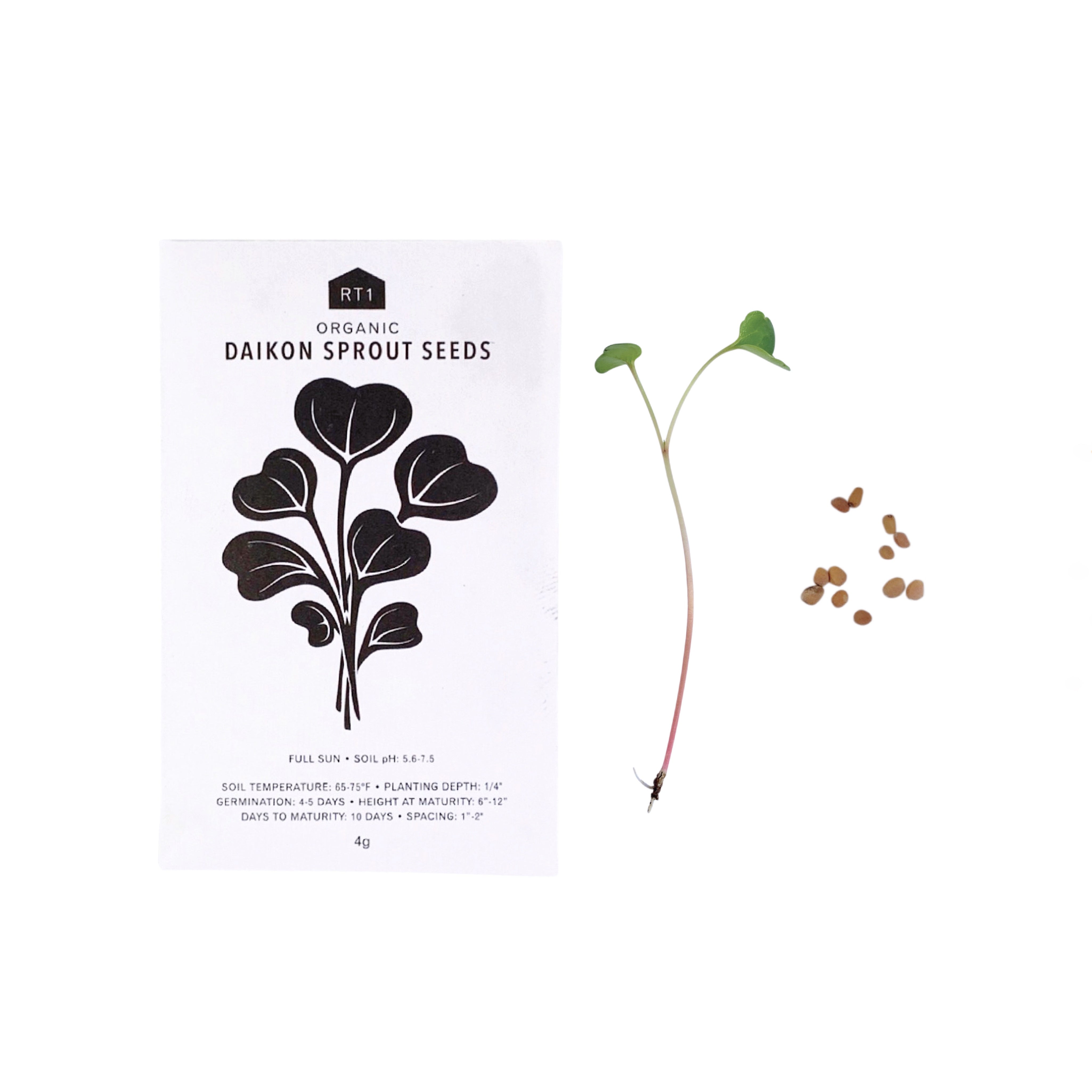 Japanese Herb Seeds - Pack of 5
