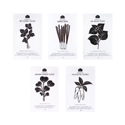 Japanese Herb Seeds - Pack of 5