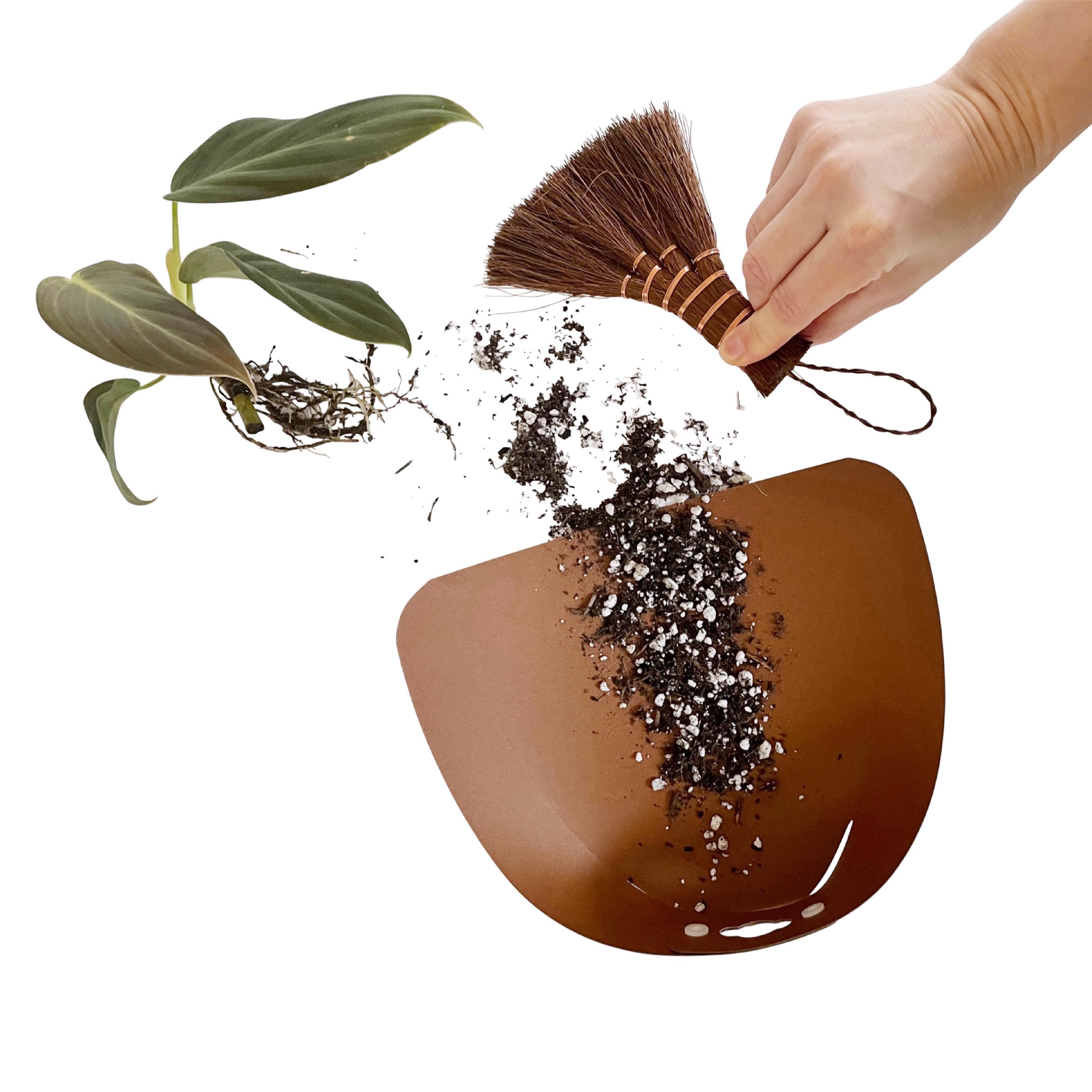 Angled Shuro Brush