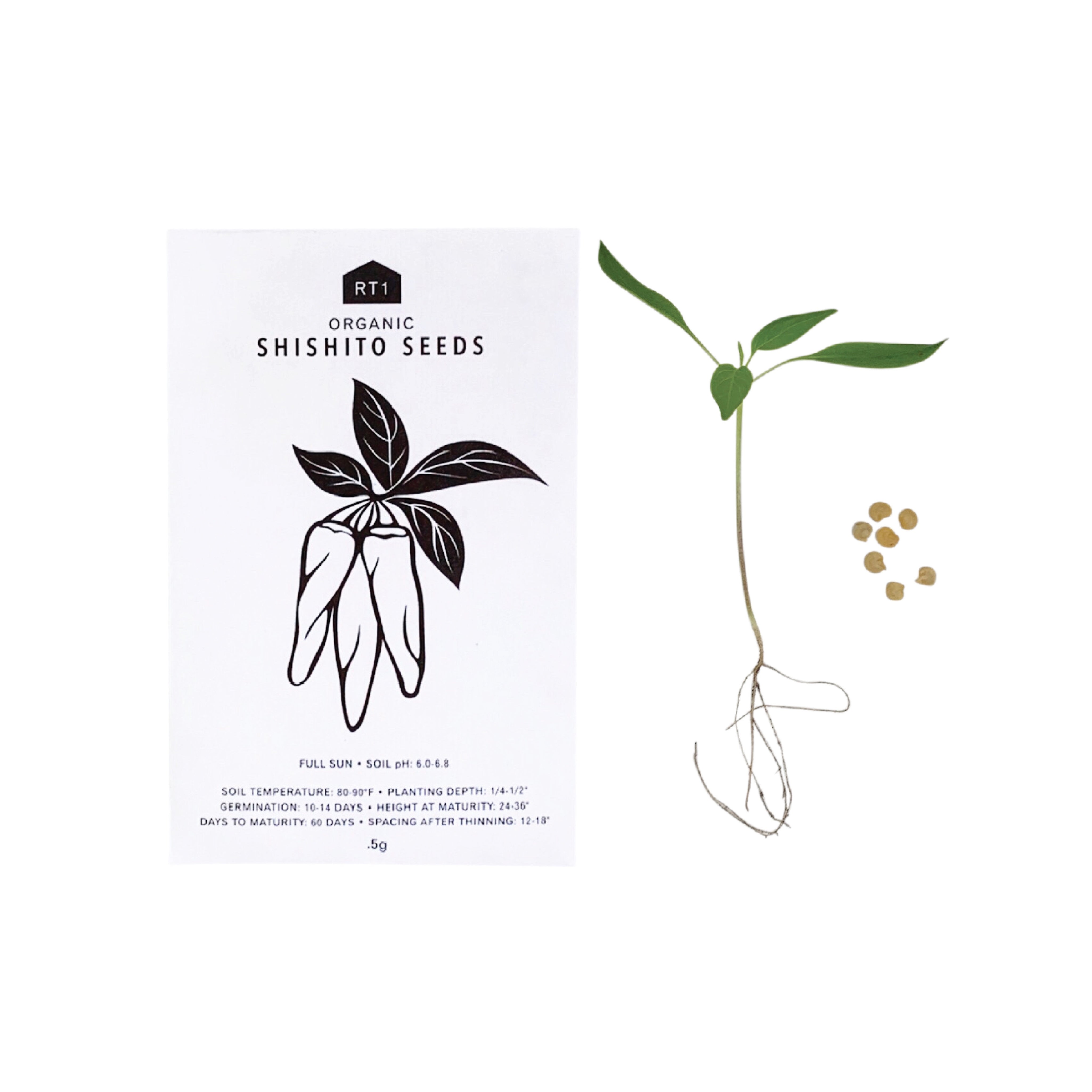 Japanese Herb Seeds - Pack of 5