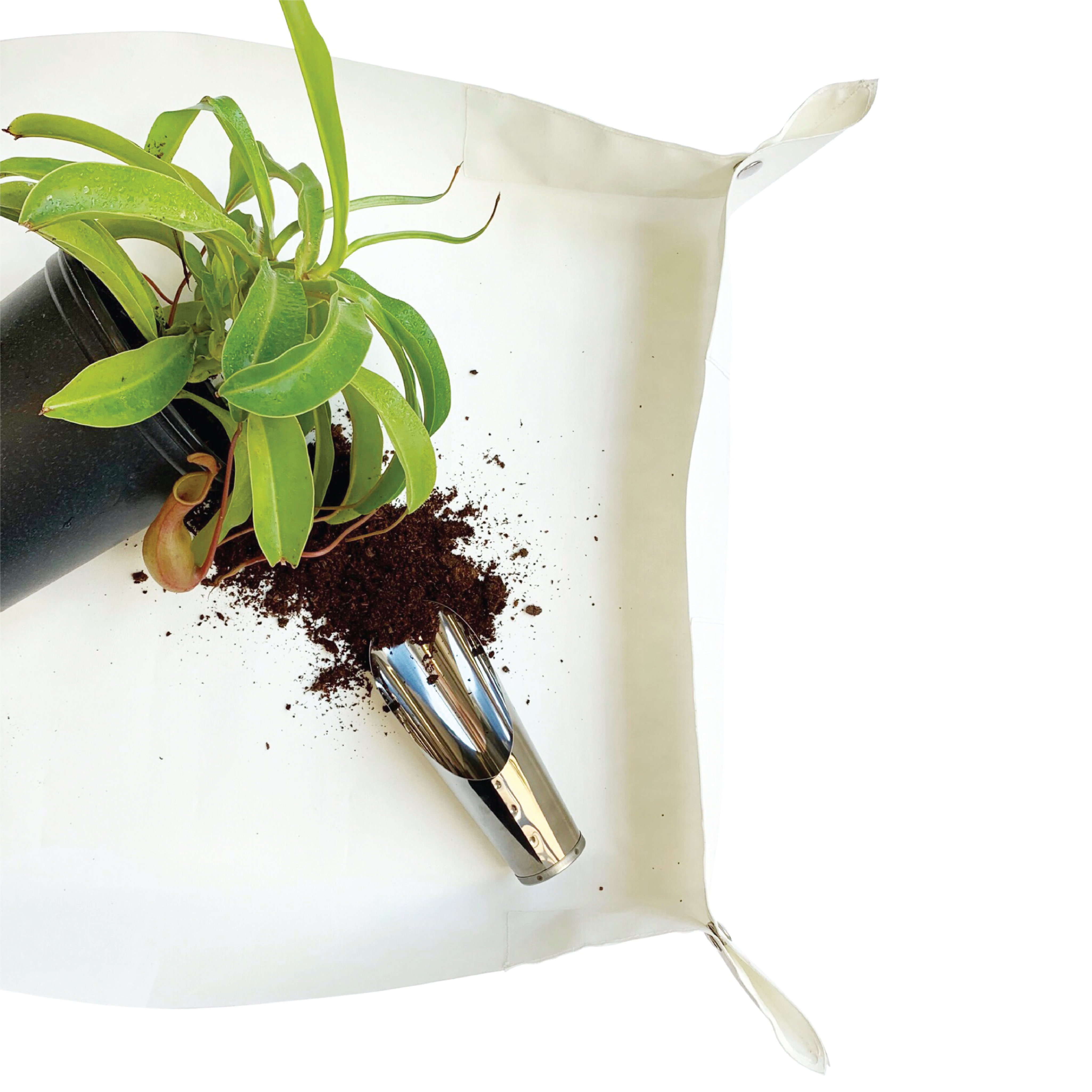 Soil Scoops