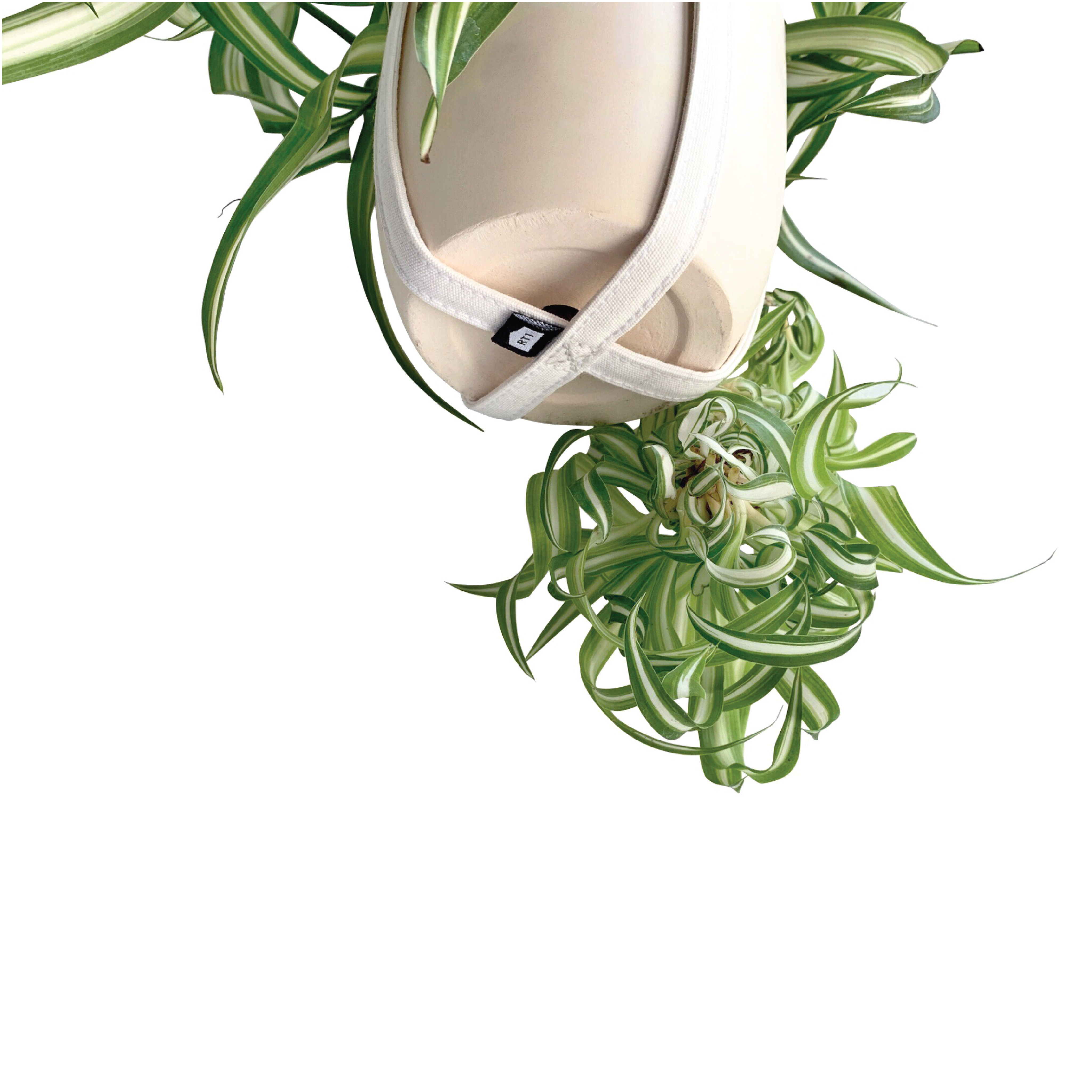 Plant Hanger