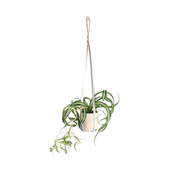 Plant Hanger