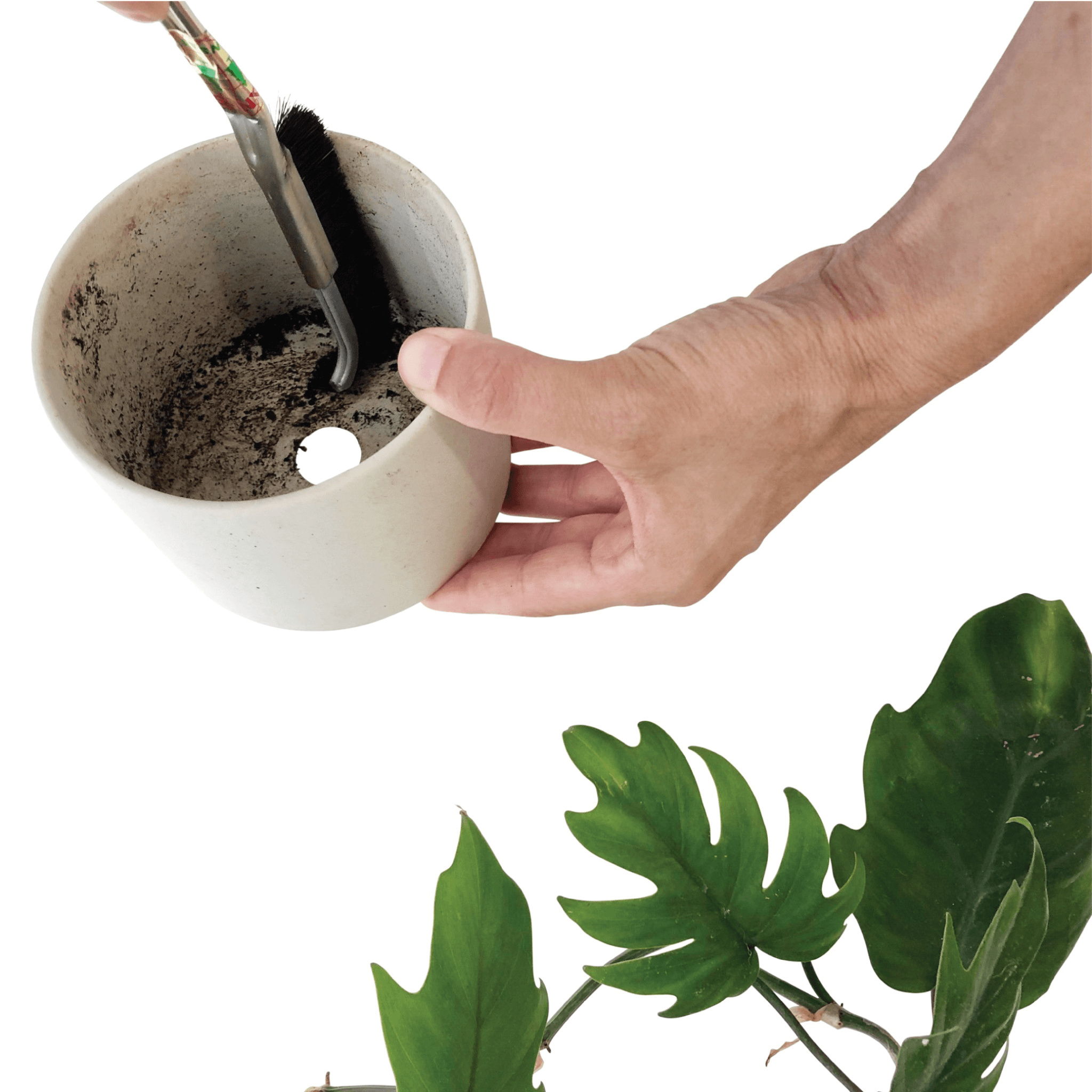 CURVED CLEANING BRUSH - RT1home