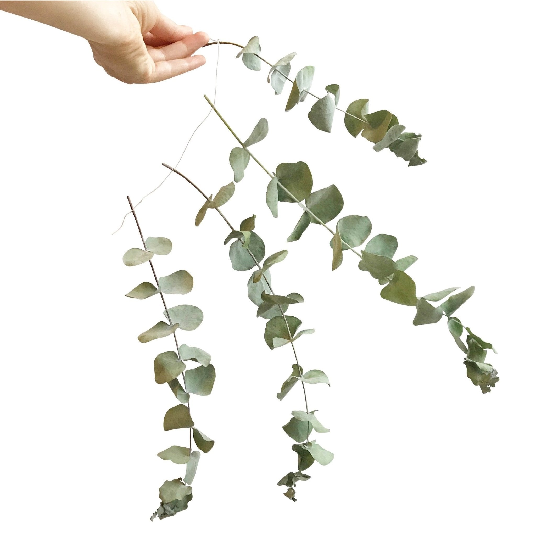 FLORAL WIRE - RT1home