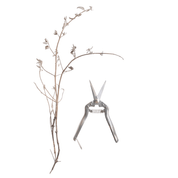 GARDEN SNIPS - RT1home