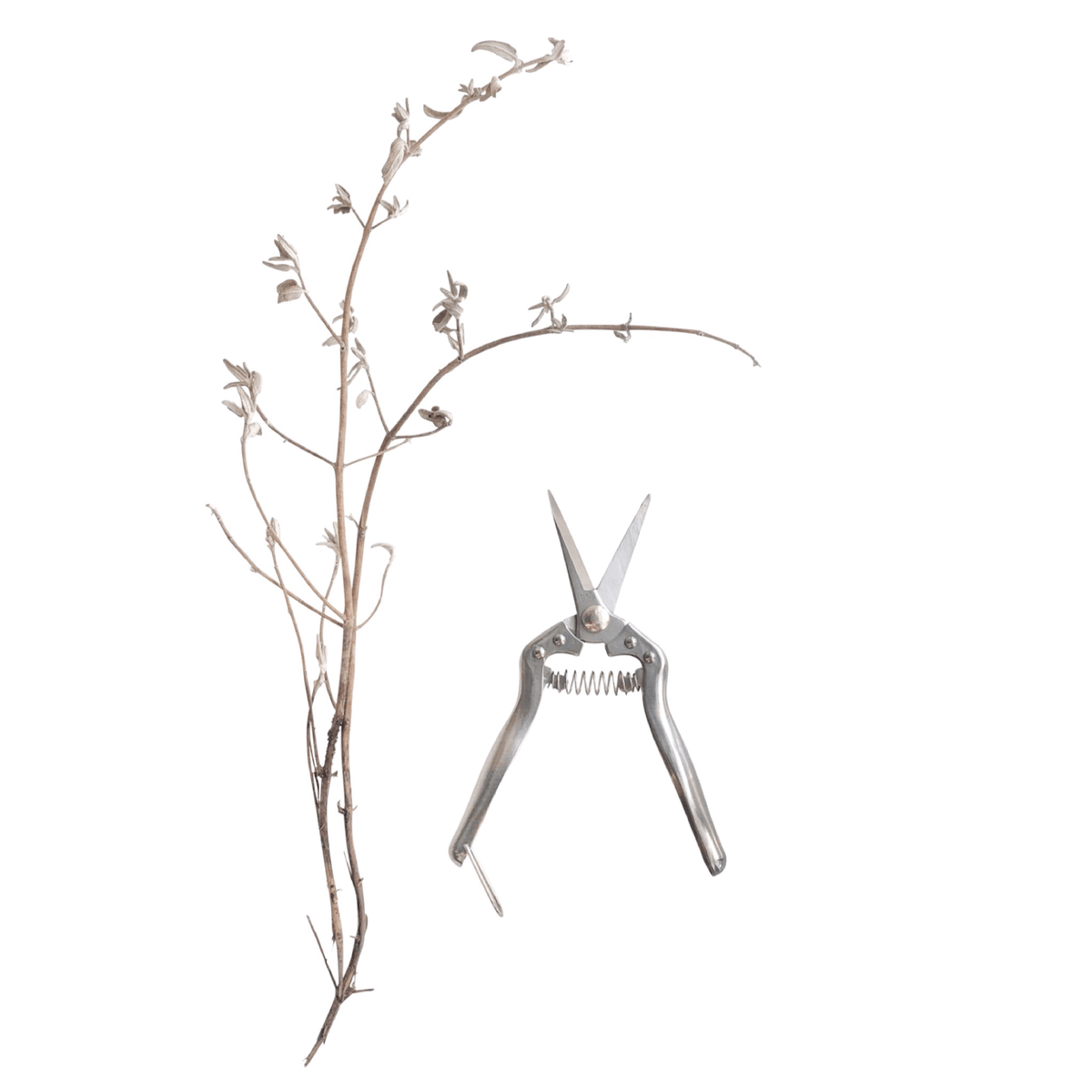 http://rt1home.com/cdn/shop/products/garden-snips-442629_1200x1200.png?v=1637244515