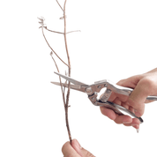 GARDEN SNIPS - RT1home