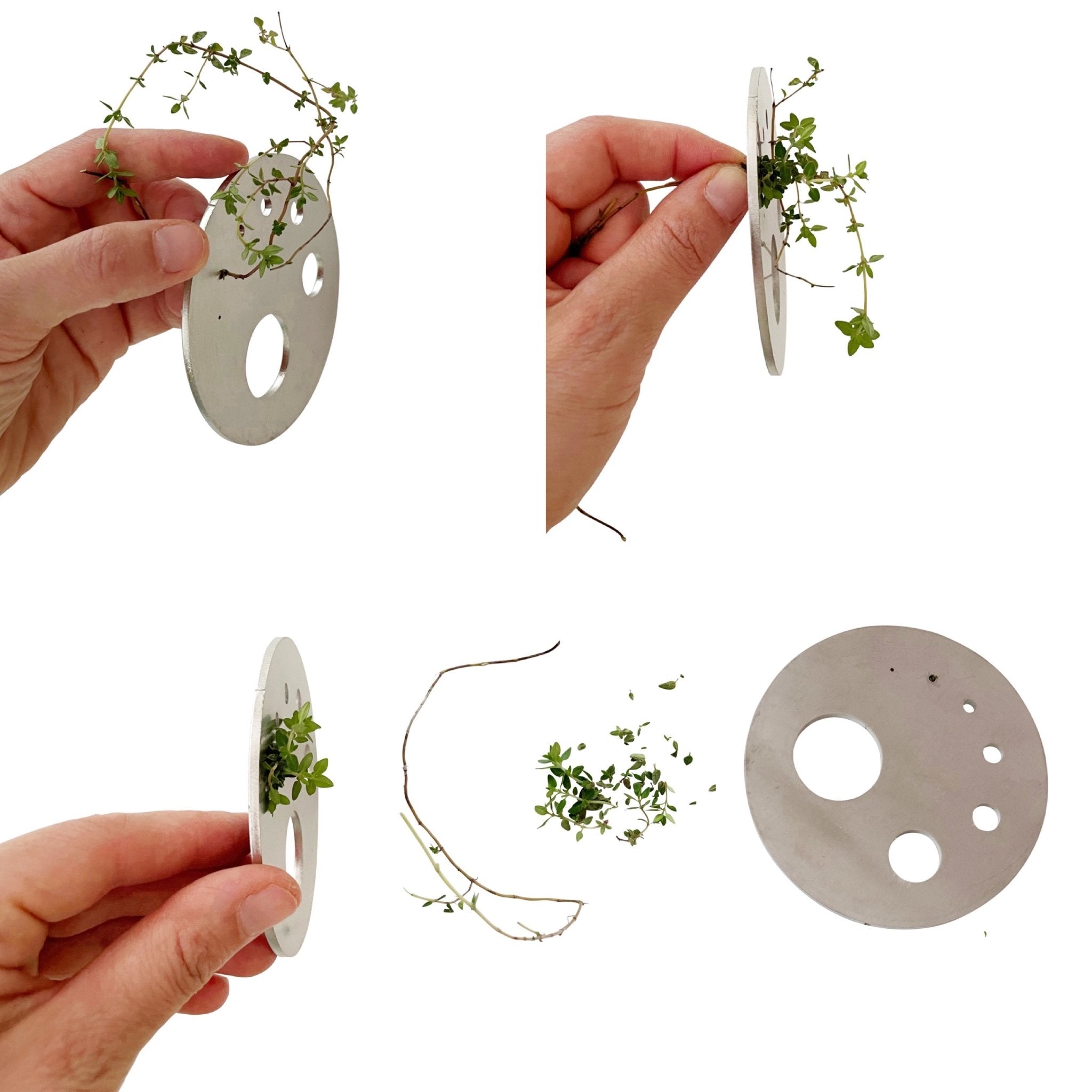 HERB PROP DISC - RT1home