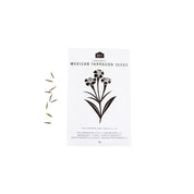 HERB SEEDS II - PACK OF 5 - RT1home