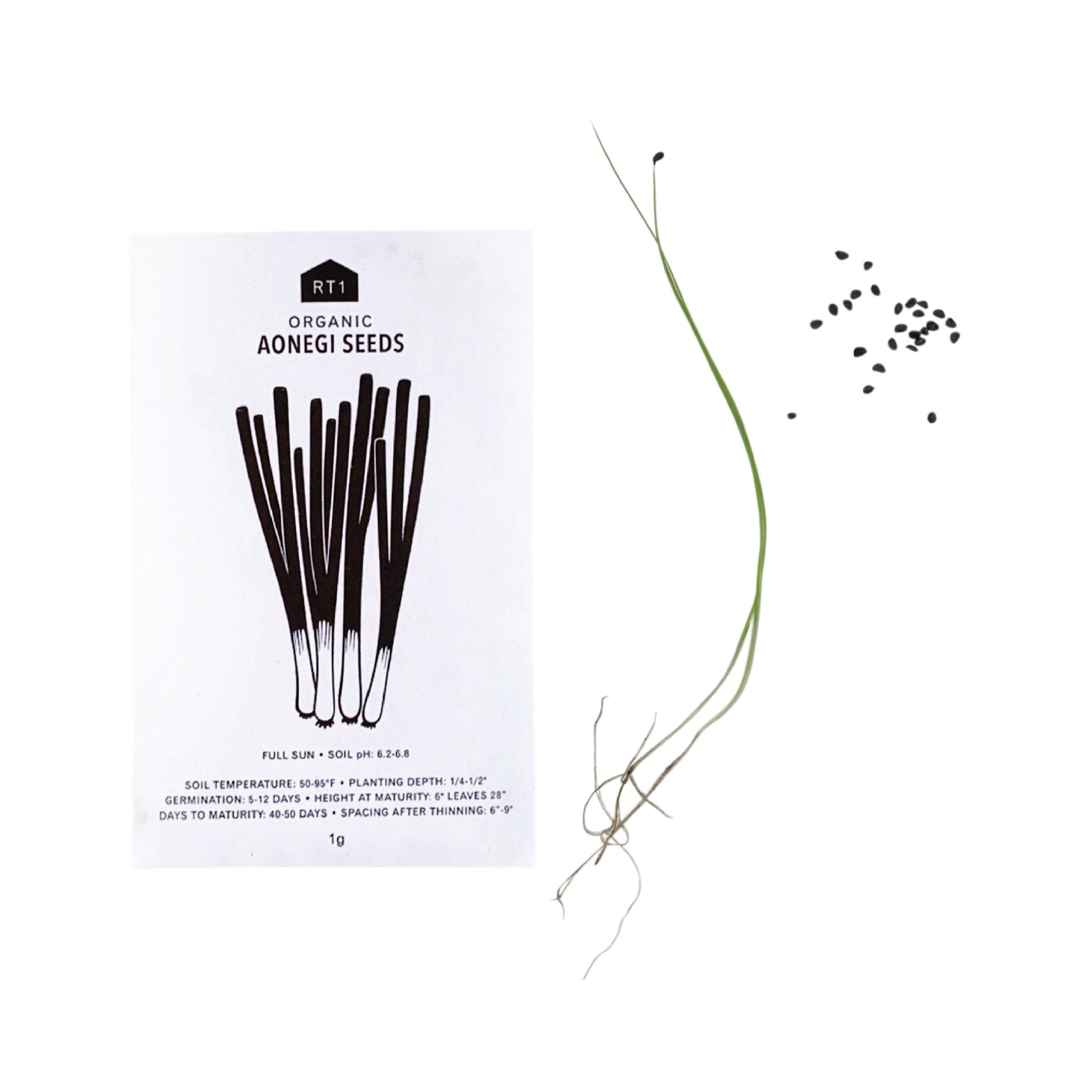 JAPANESE HERB SEEDS - PACK OF 5 - RT1home