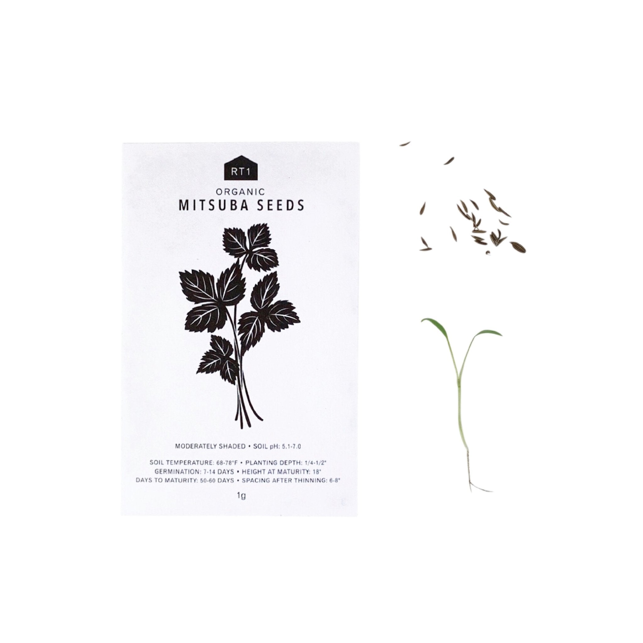 JAPANESE HERB SEEDS - PACK OF 5 - RT1home