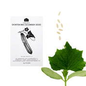 JAPANESE SPRING VEG SEEDS - PACK OF 5 - RT1home