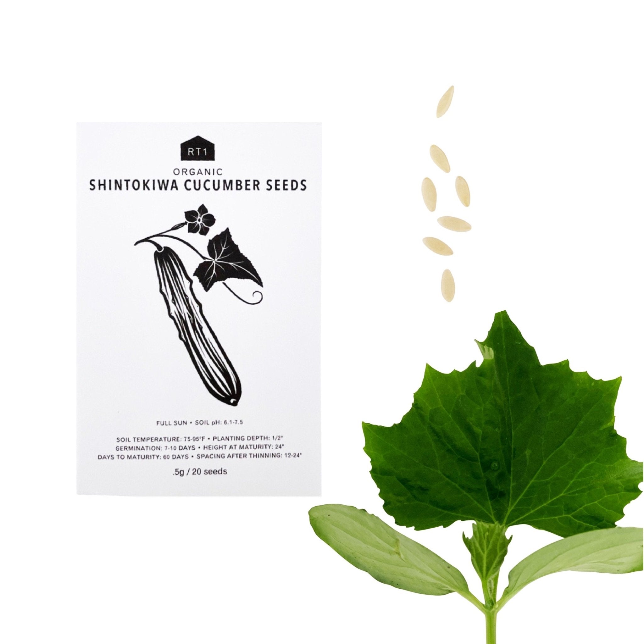 JAPANESE SPRING VEG SEEDS - PACK OF 5 - RT1home