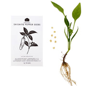 JAPANESE SPRING VEG SEEDS - PACK OF 5 - RT1home
