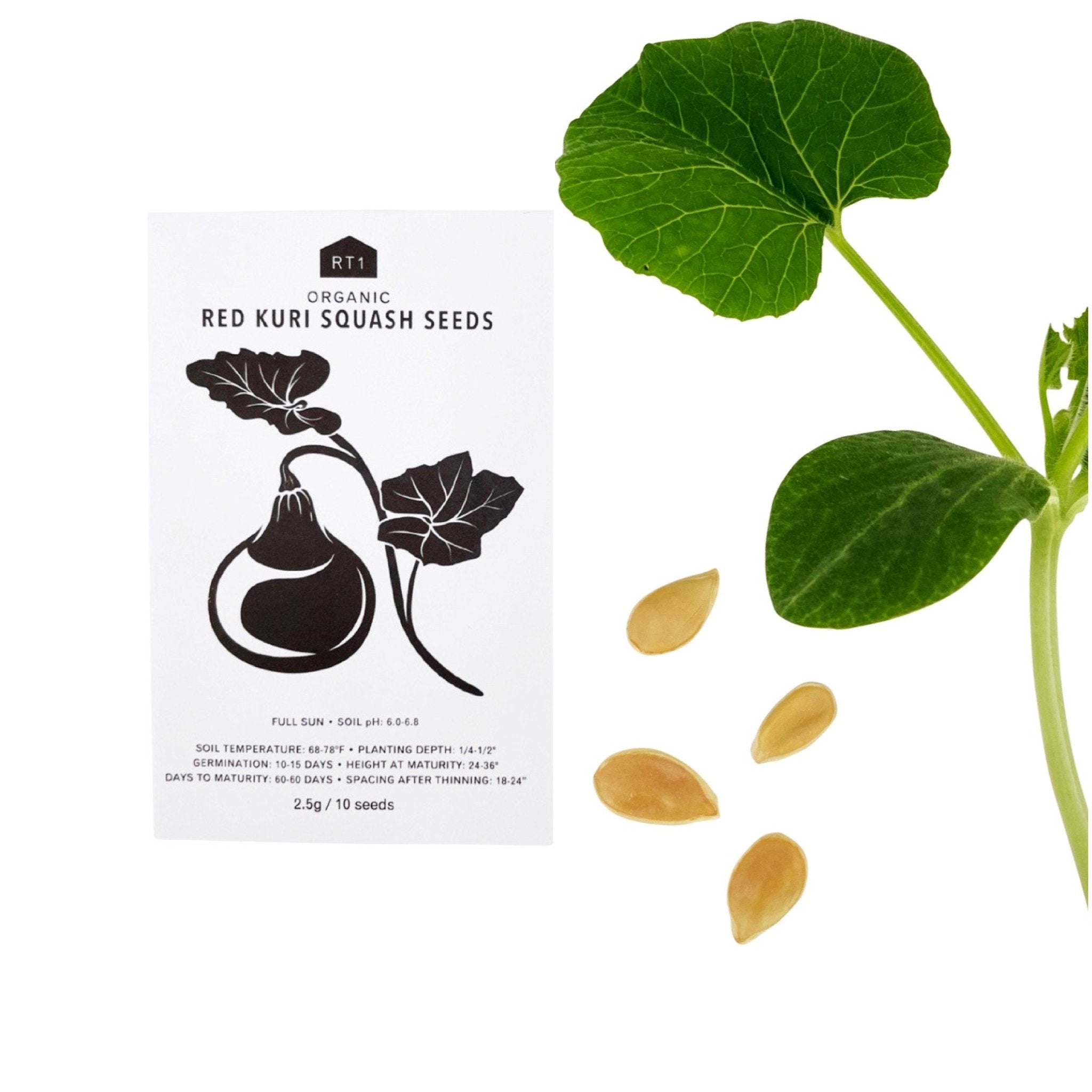 JAPANESE SPRING VEG SEEDS - PACK OF 5 - RT1home