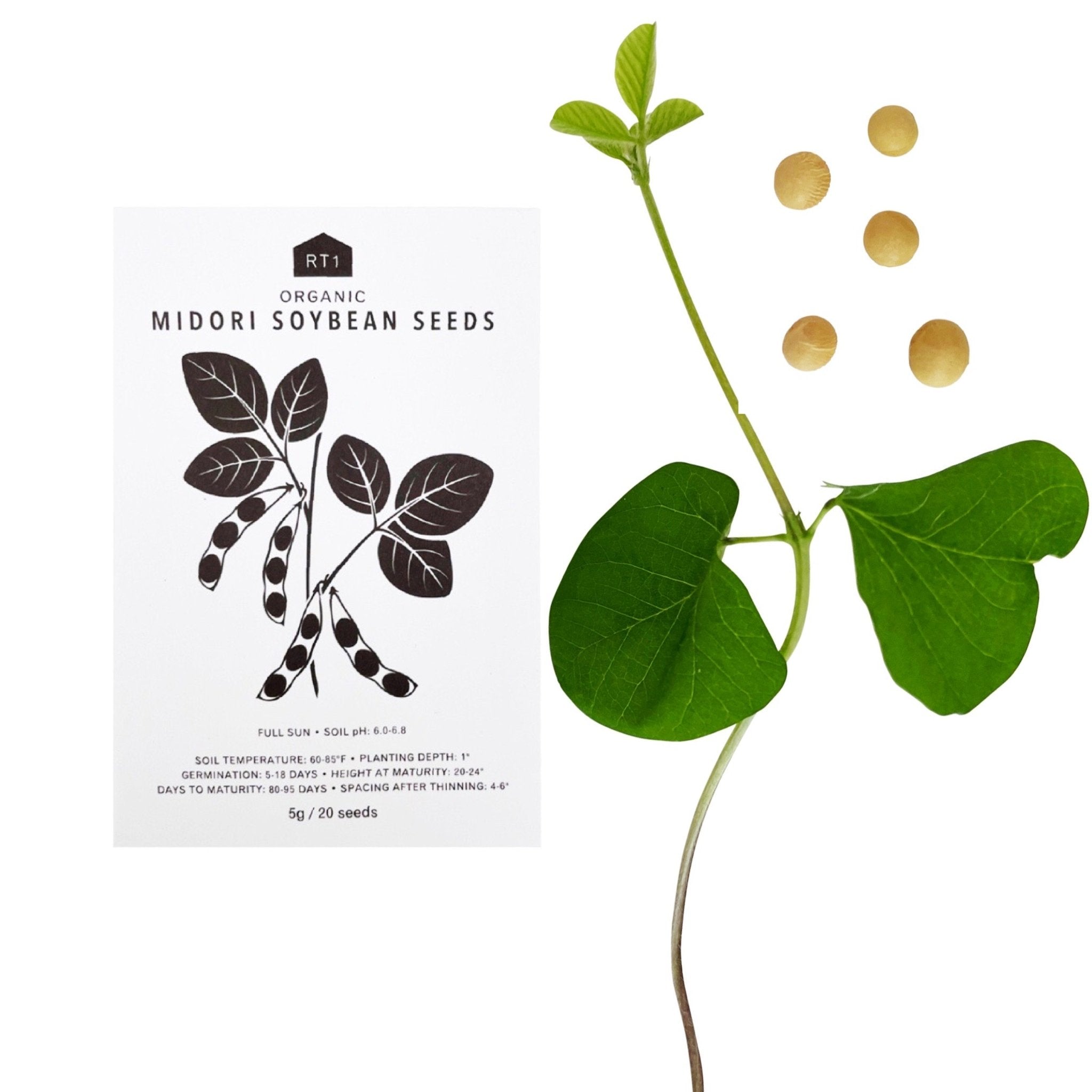JAPANESE SPRING VEG SEEDS - PACK OF 5 - RT1home