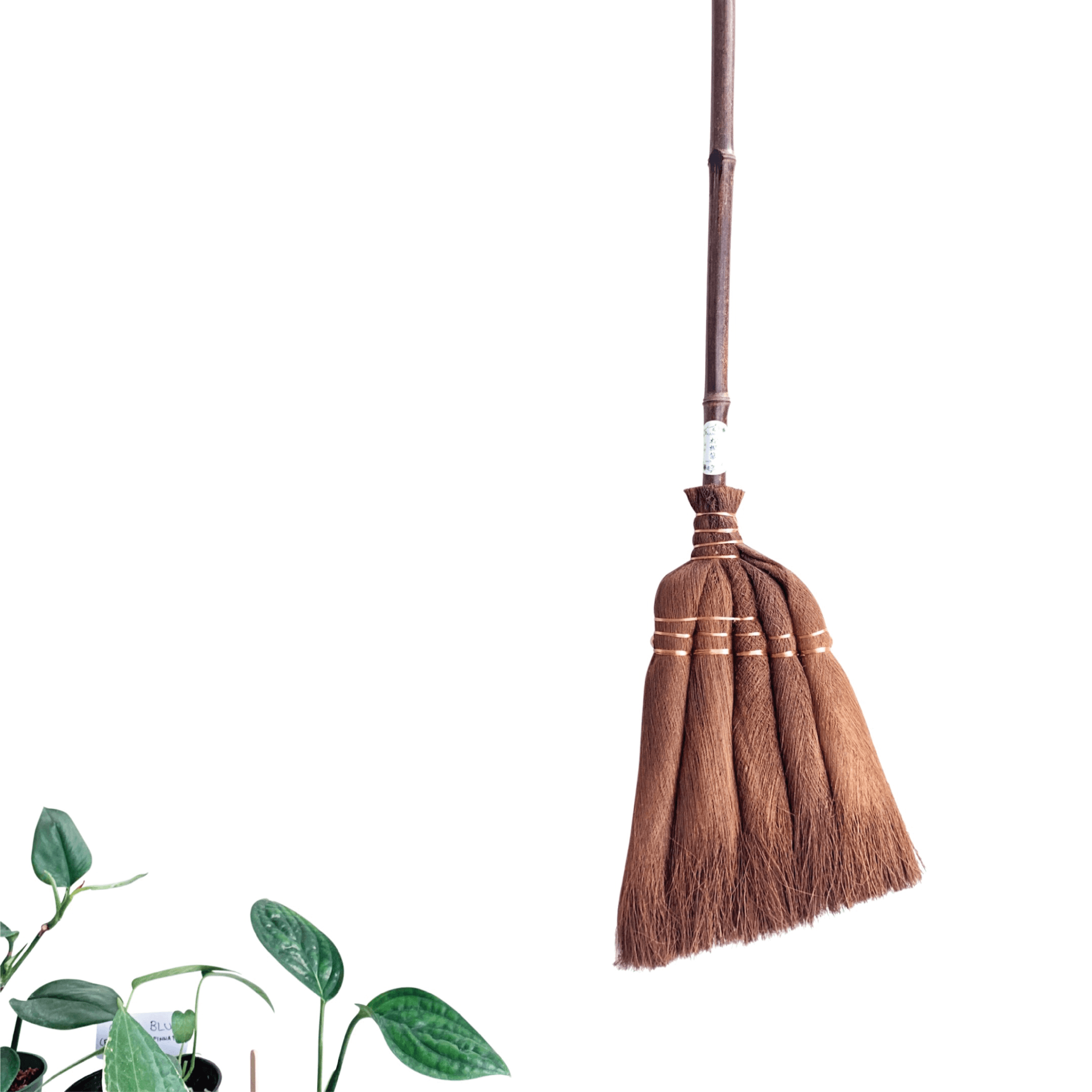 LONG HANDLE SHURO BROOM - RT1home