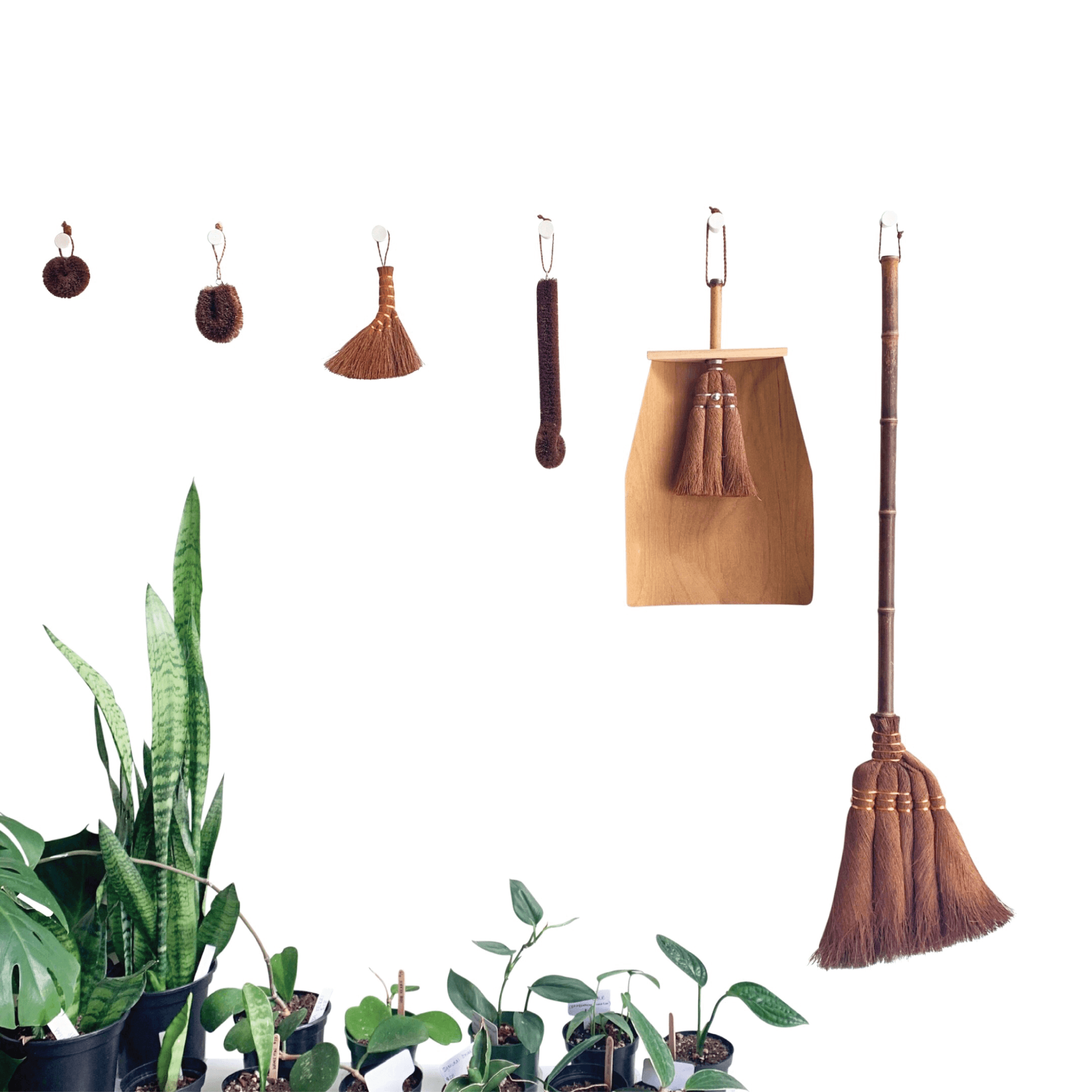 LONG HANDLE SHURO BROOM - RT1home